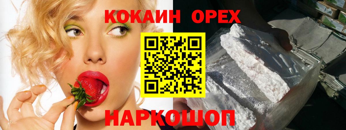 Cocaine Fish Scale  Вход с VPN  Новозыбков  Кокаин  COCAIN Fish Scale 
