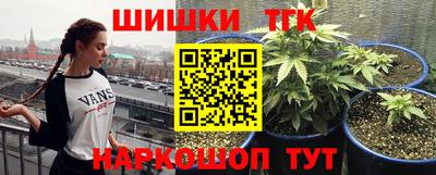 гашик Рыбинск