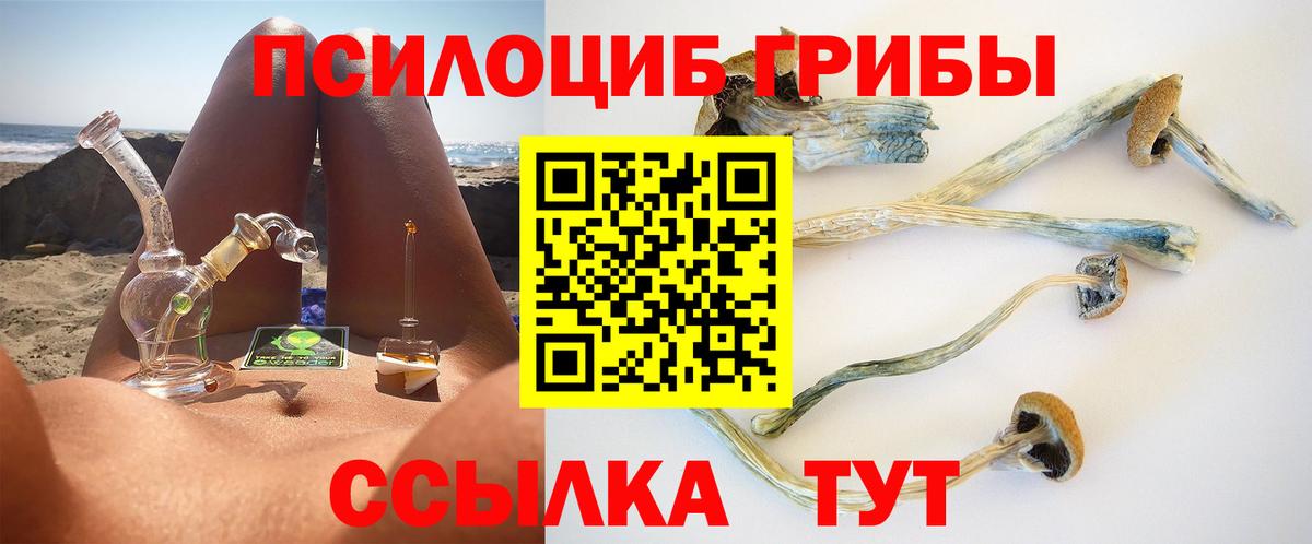 Новозыбков  Псилоцибиновые грибы Psilocybine cubensis  Вход с VPN 