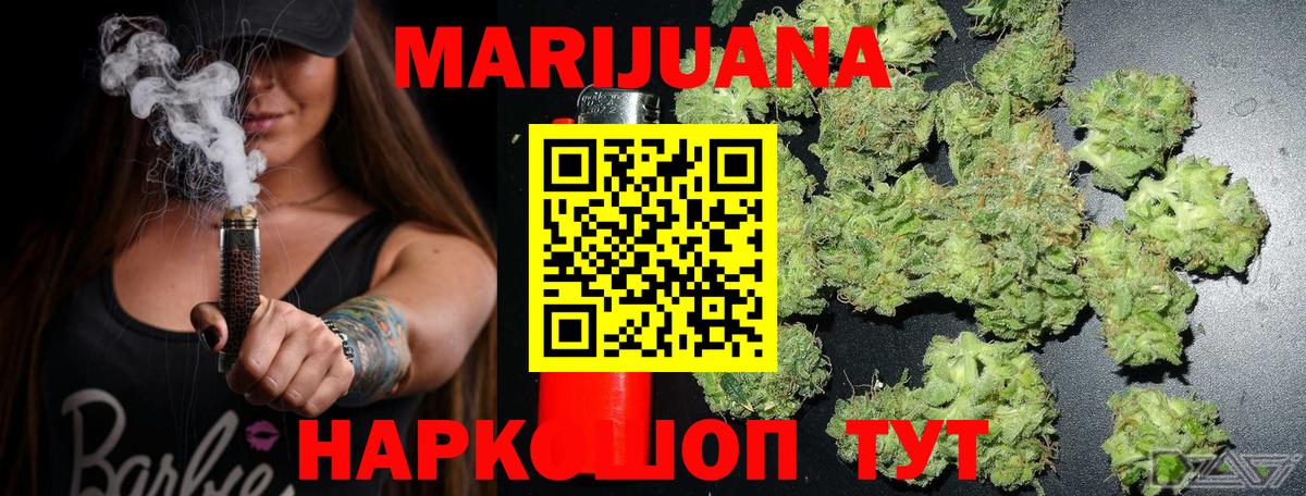Новозыбков  Конопля гибрид  МАРИХУАНА семена  Вход с VPN  Канабис конопля 